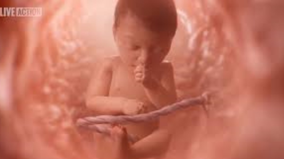 Picture of a unborn baby Olivia Video is viral in mother's womb.